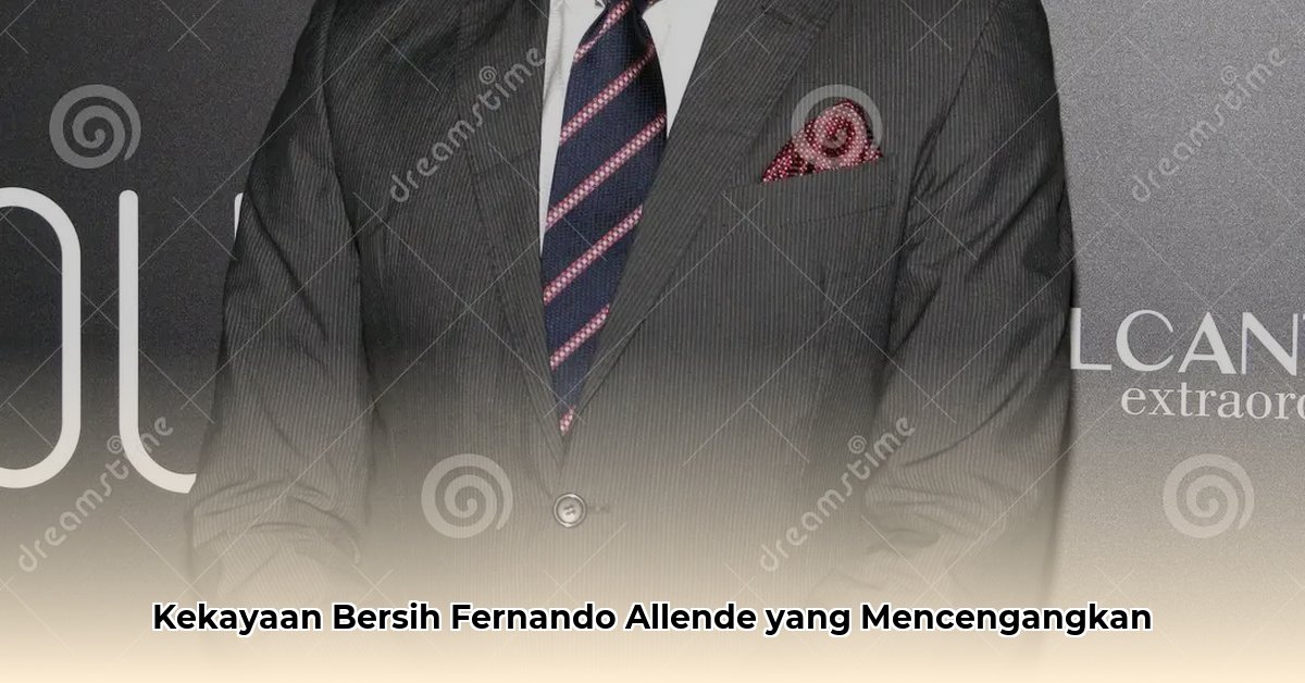 fernando allende net worth